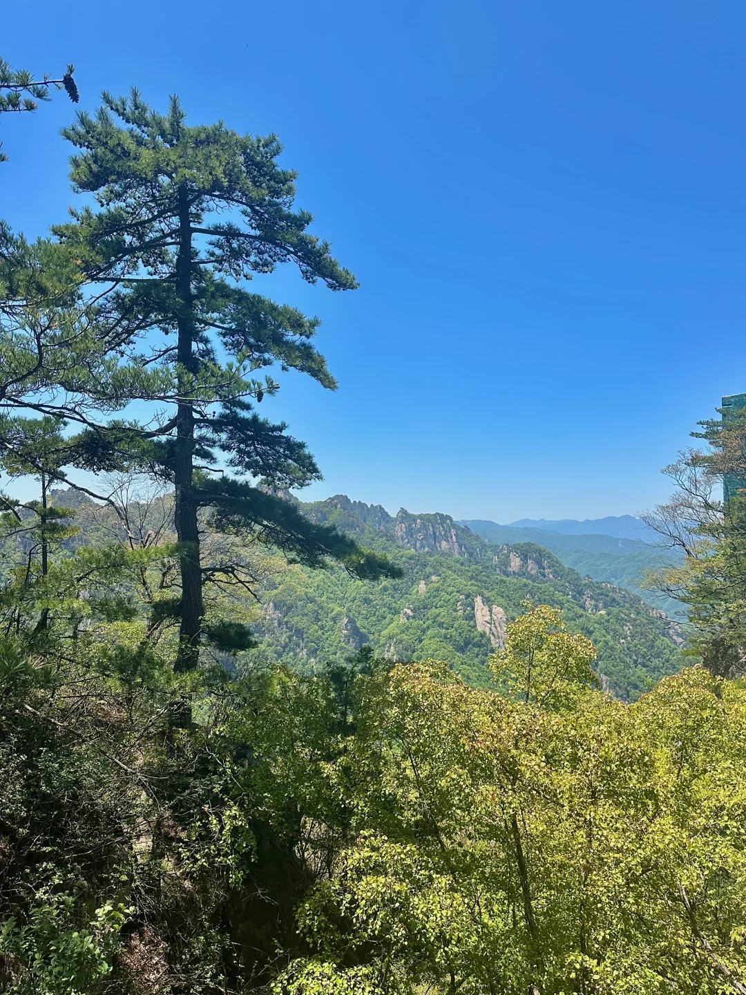 📍老君山 𝙇𝙖𝙤 𝙅𝙪𝙣 𝙨𝙝𝙖𝙣🏔