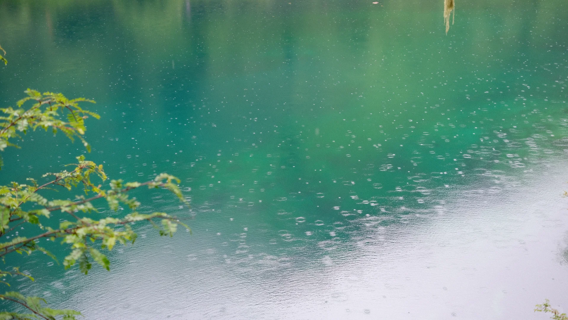 随雨而来，伴雨而去。
