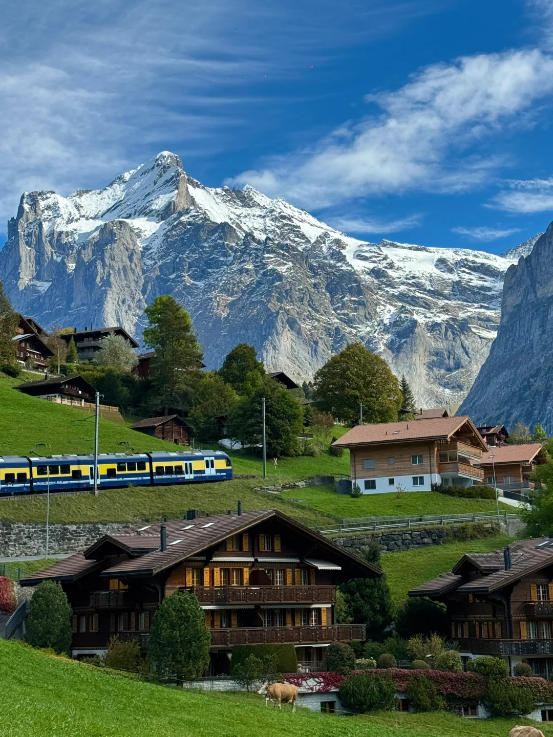 瑞士🇨🇭完美天气的格林德瓦梦幻山坡