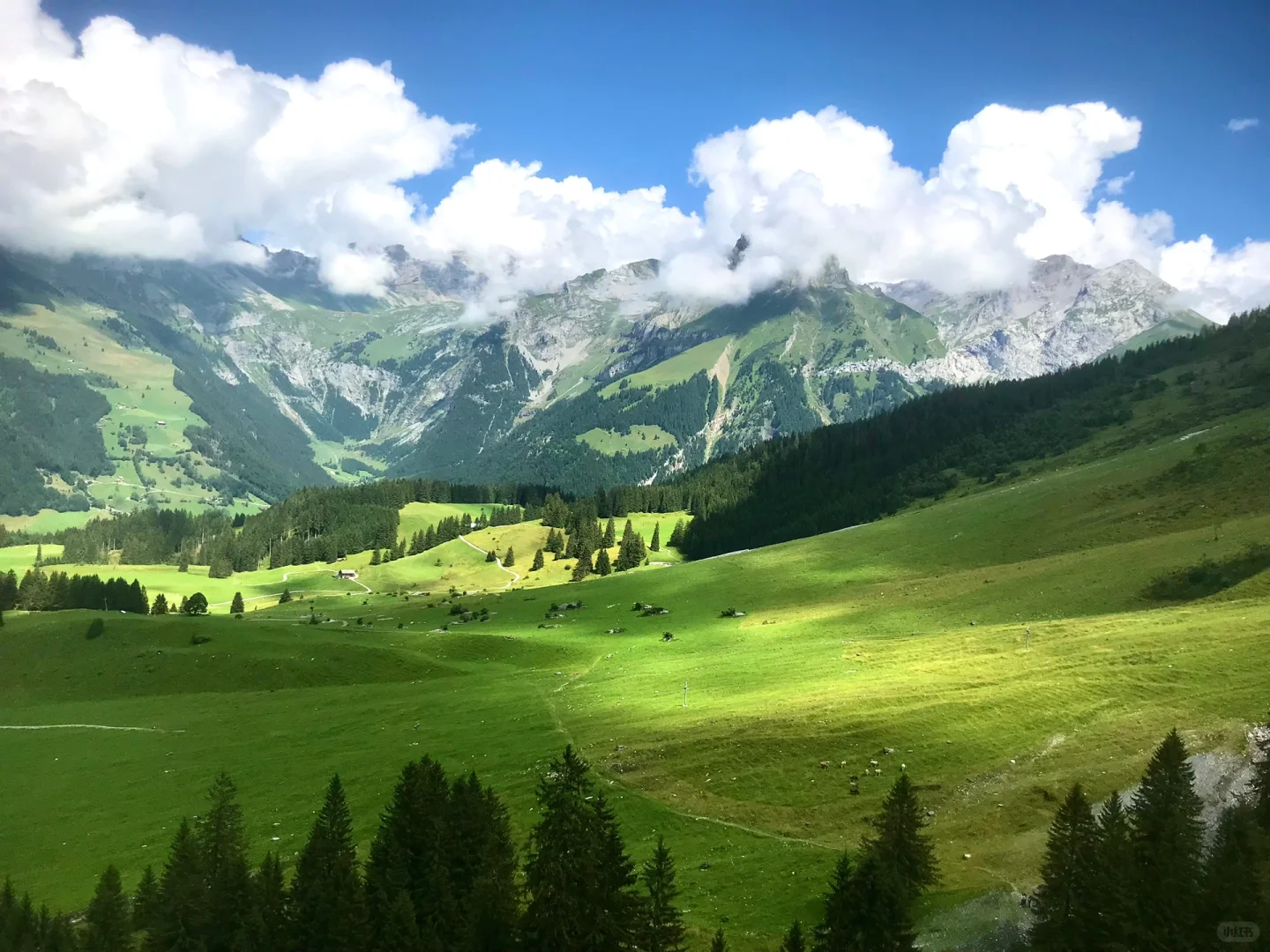 毕业旅行极限四选一：🇷🇺🇮🇹🇲🇪🇹🇷