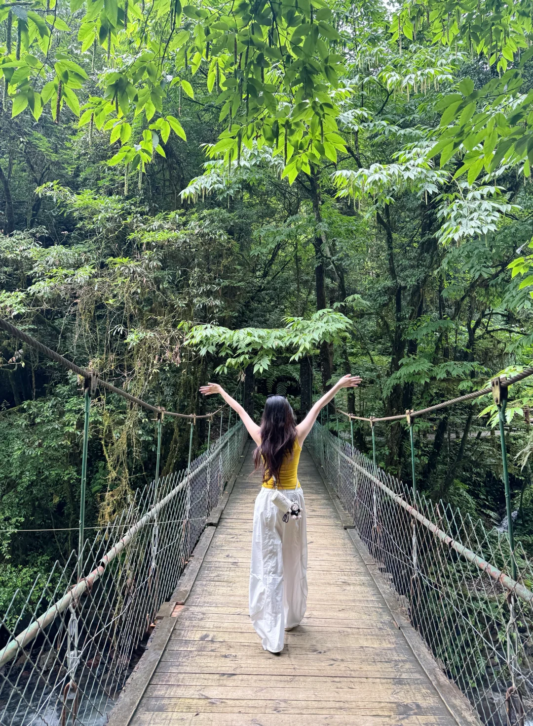 丛林吸氧🌲🌲