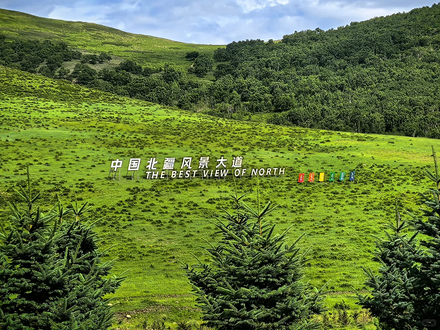 可以交换一张草原照片呀？足以封神的那种