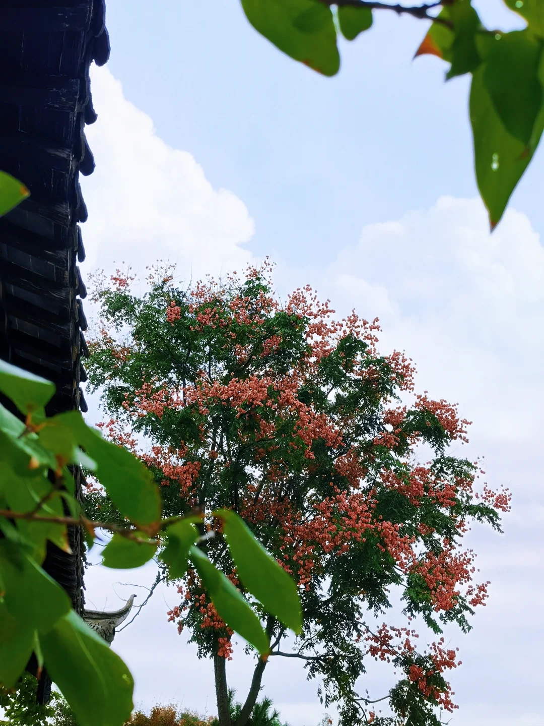 亮一亮相册中最美框景