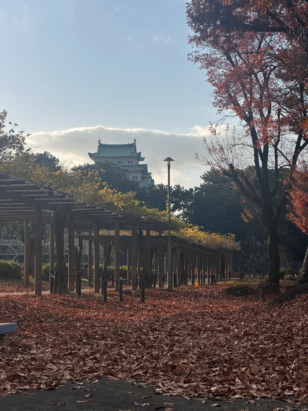 大学生日本12天17城总花费2465（不穷游版）