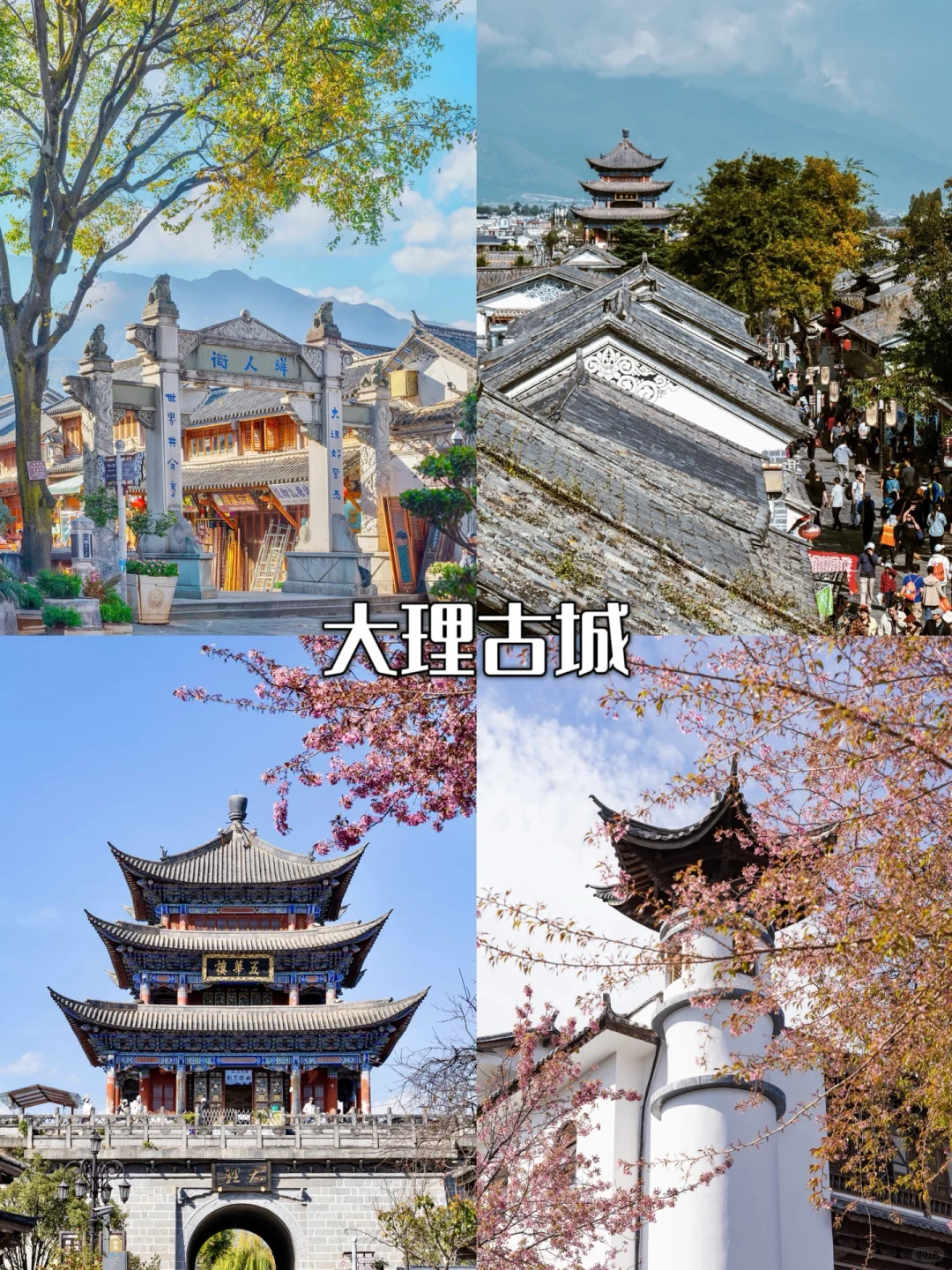 🌟大理丽江香格里拉｜暑假旅行路线图