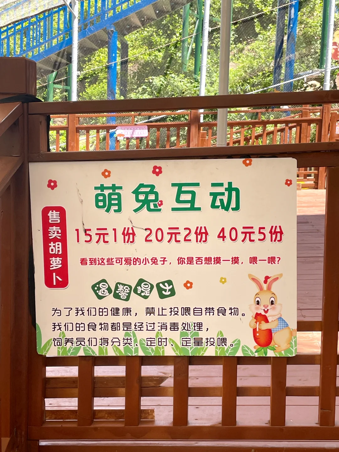 荣成刚回！神雕山野生动物园必看血泪攻略