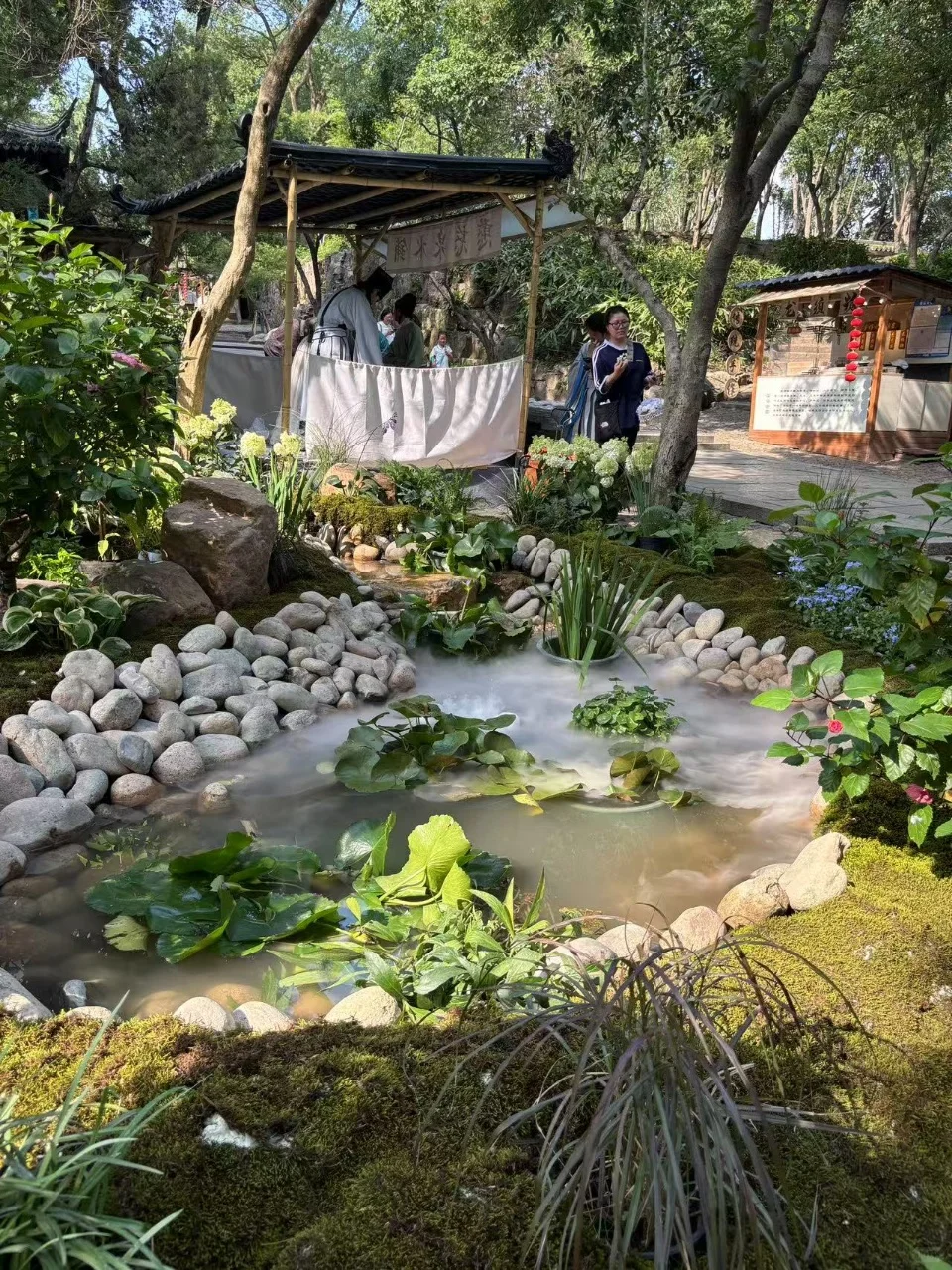 毕业旅行必冲！虎丘露天音乐会×三花姑娘