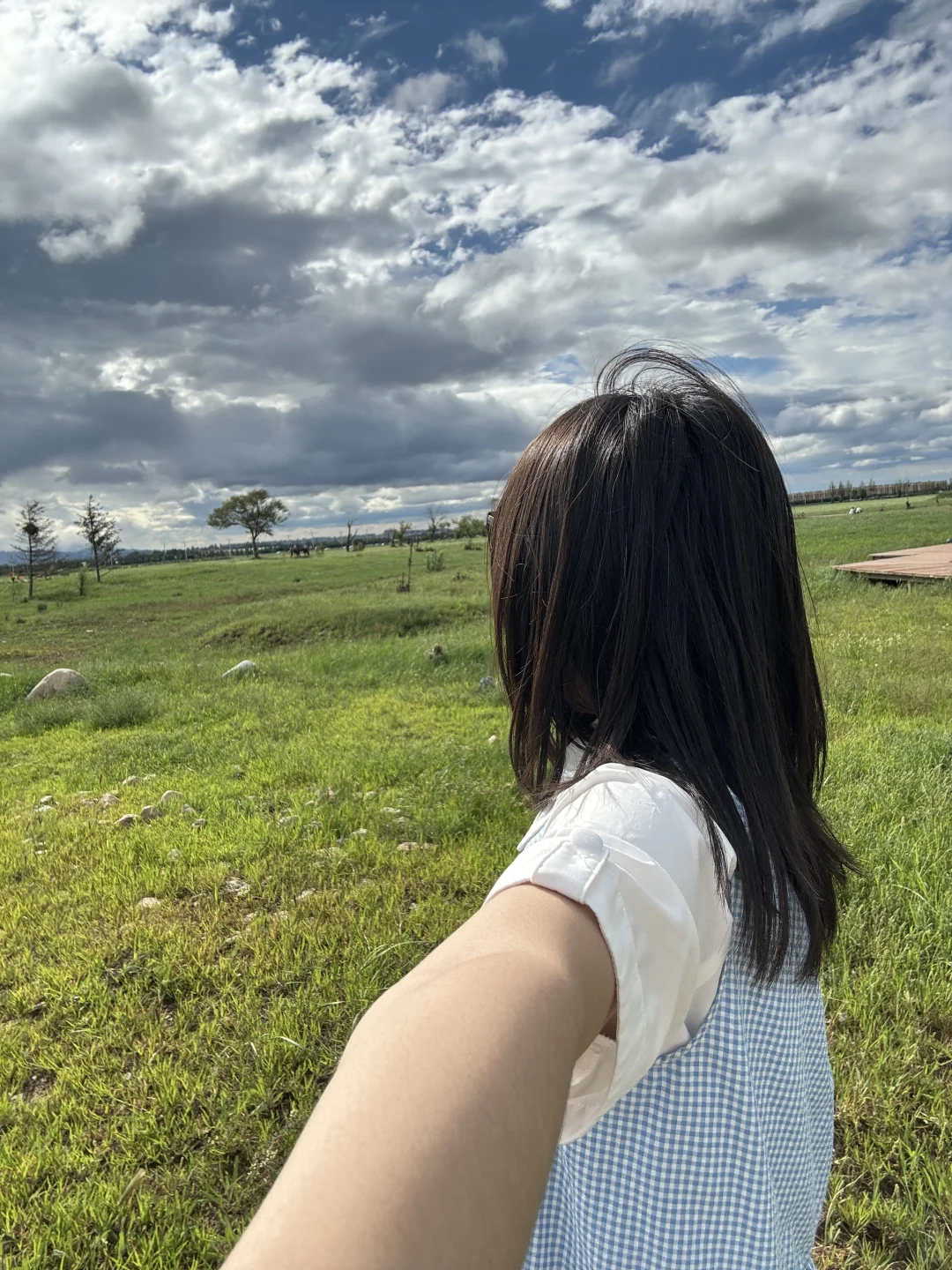 一路向北～山西大同➕内蒙呼和浩特攻略🤲🏻