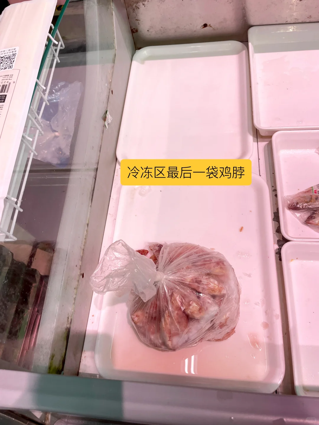 荣成刚回！神雕山野生动物园必看血泪攻略