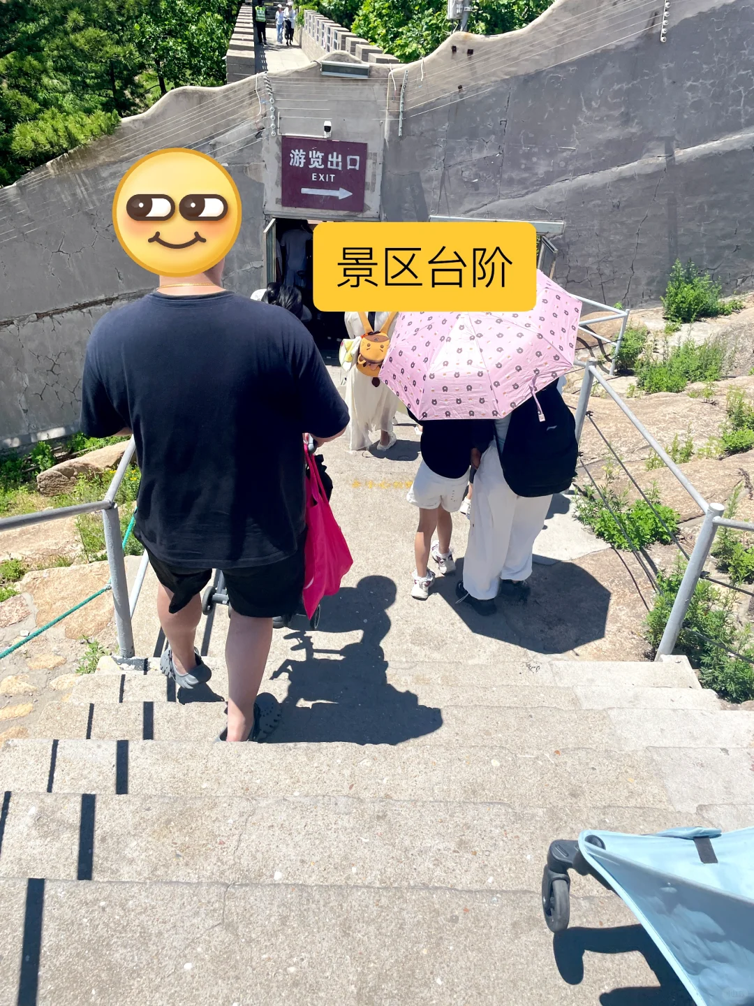荣成刚回！神雕山野生动物园必看血泪攻略