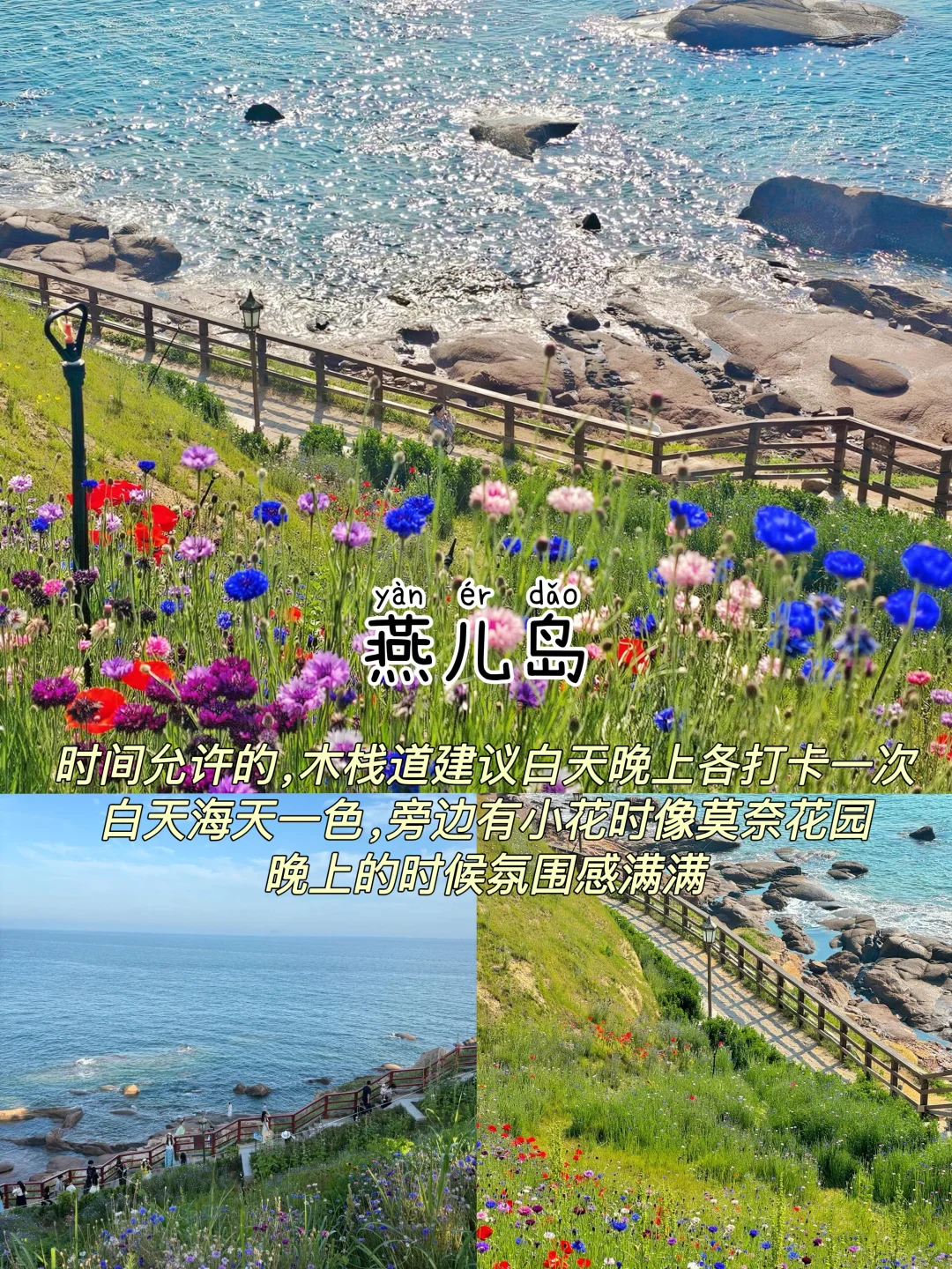 青岛📍三天两夜｜懒人版保姆级逛吃攻略‼️
