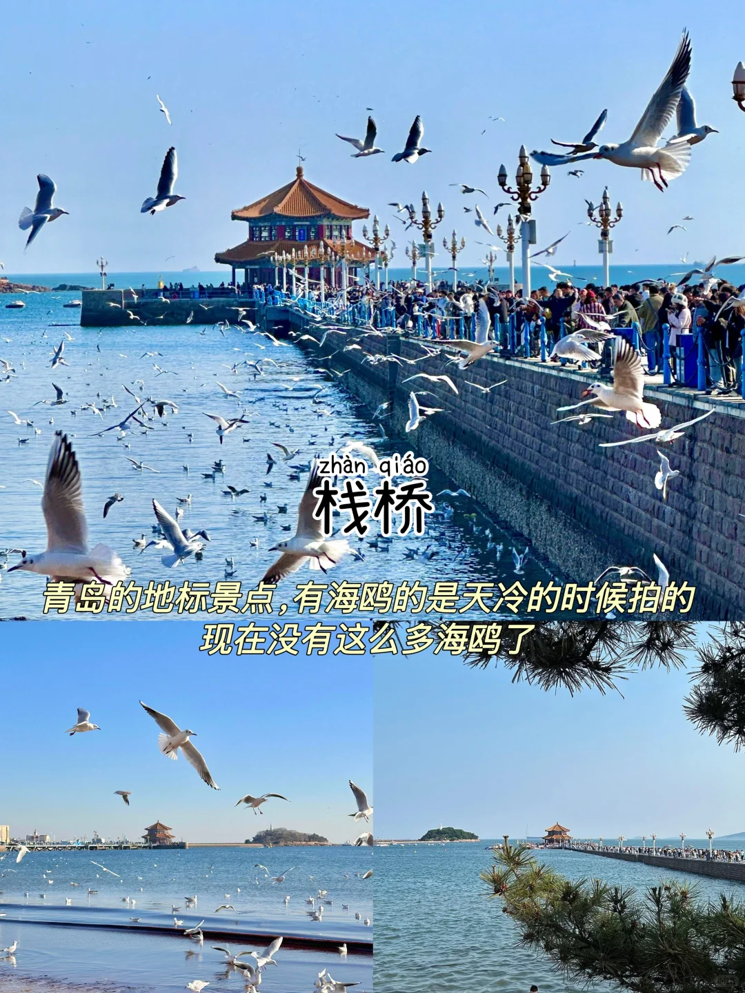 青岛📍三天两夜｜懒人版保姆级逛吃攻略‼️