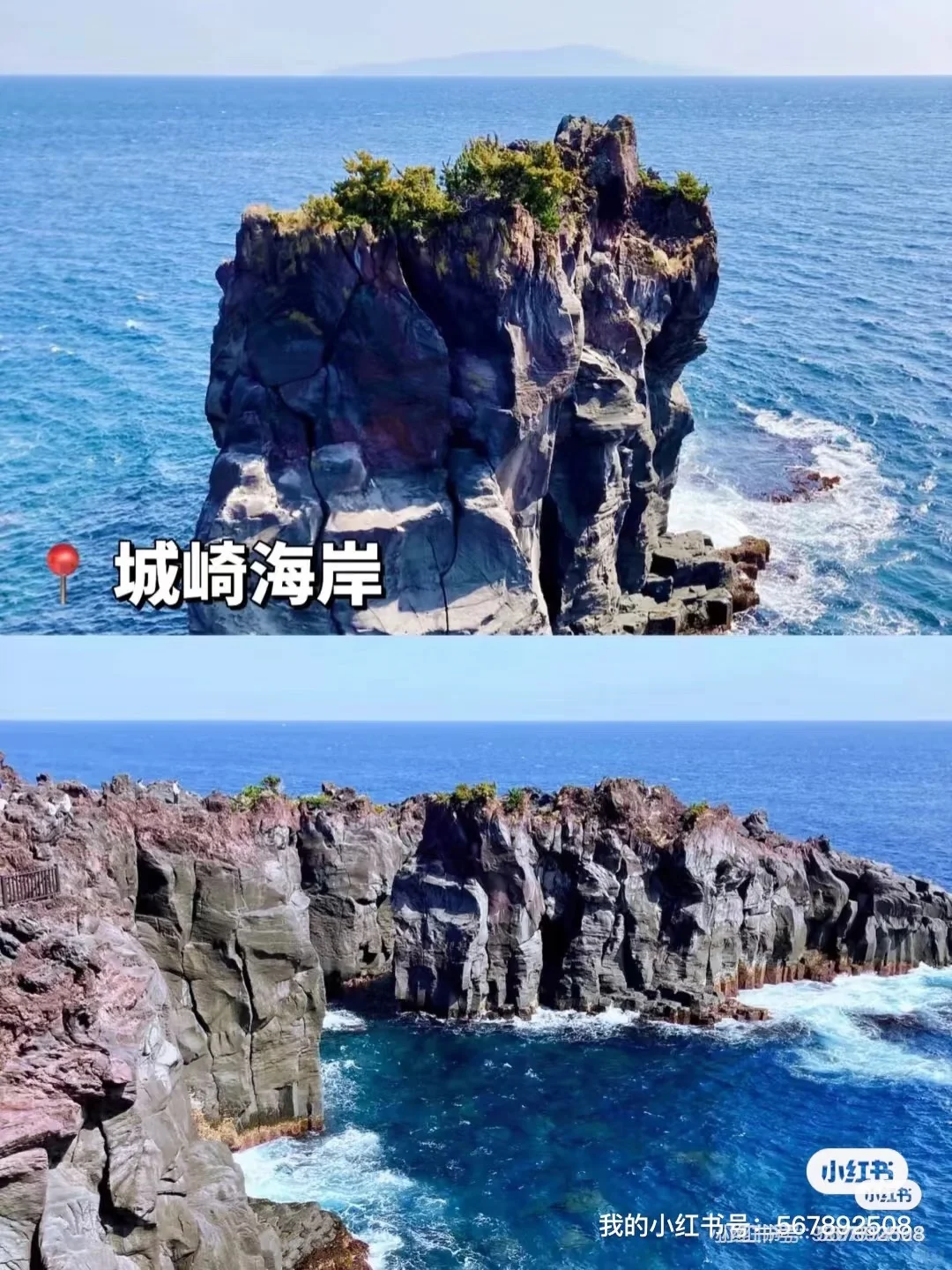 来日本🇯🇵伊豆必玩9大景点