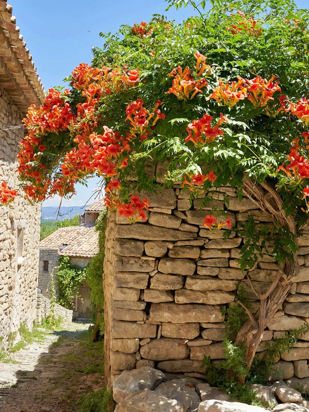南法｜怒推的秘境小镇Saignon💐被美哭了！