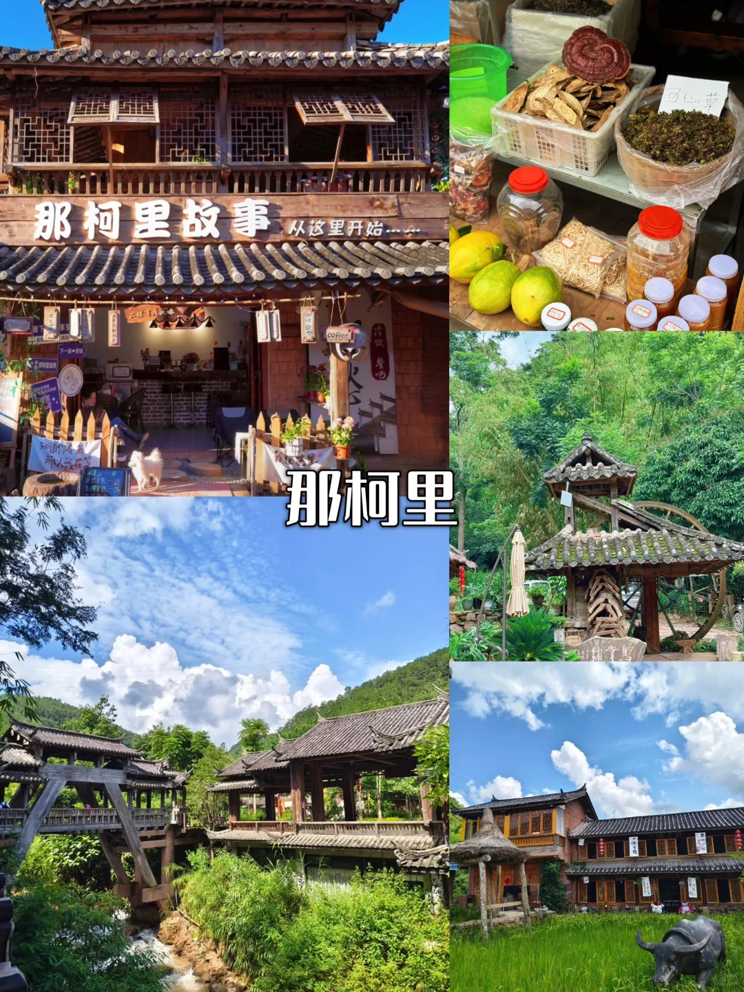 🎒普洱暑假9大必冲景点！清凉又出片🌿