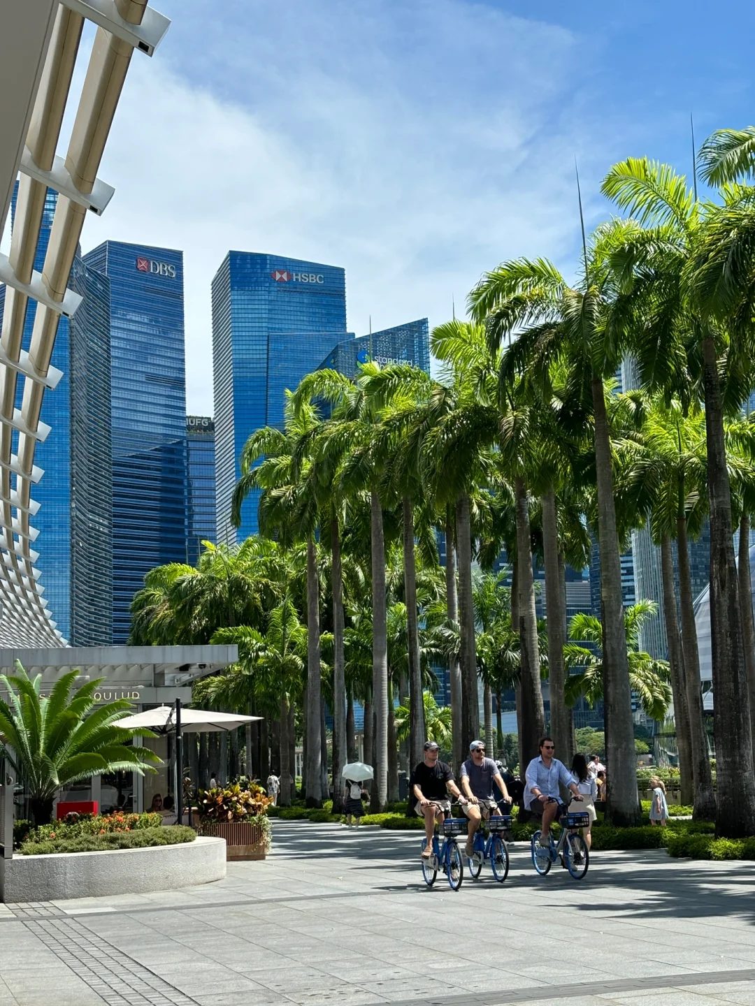 🇸🇬｜新加坡很适合低能量人群