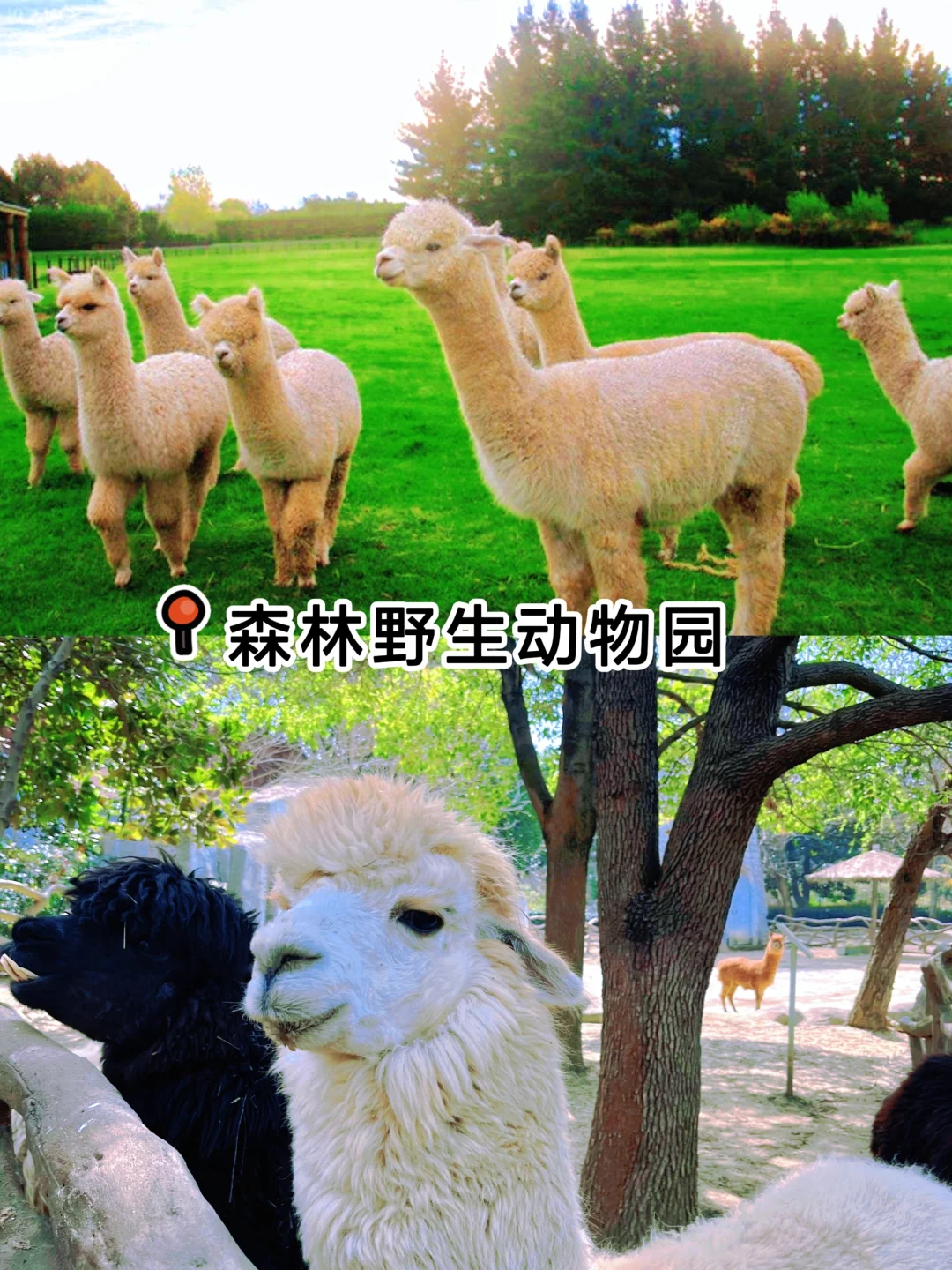 贵州亲子游必去10大景点推荐