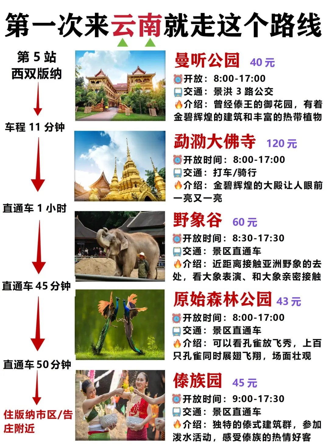 云南特种兵旅游，快来看看吧‼️