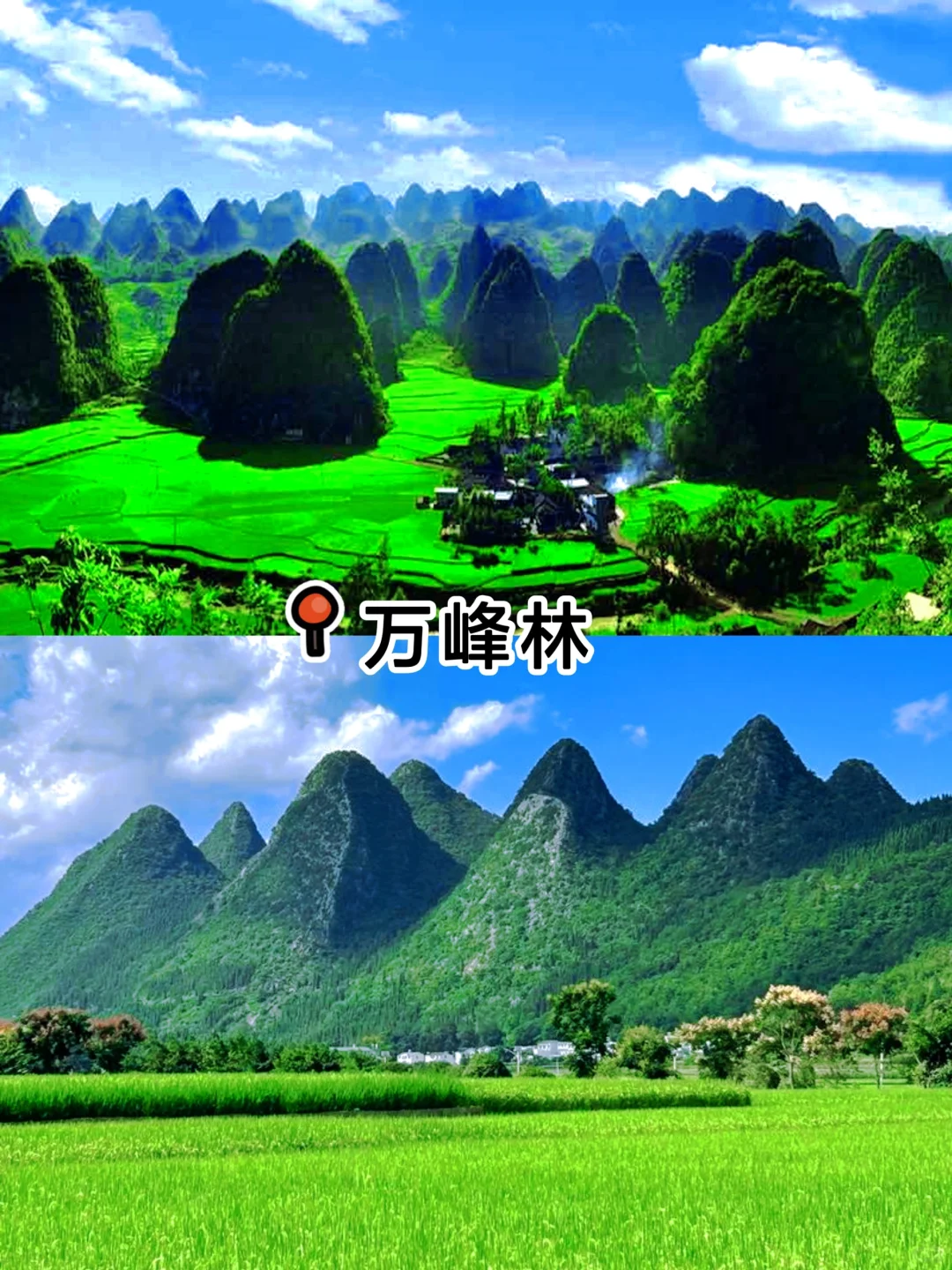 贵州亲子游必去10大景点推荐