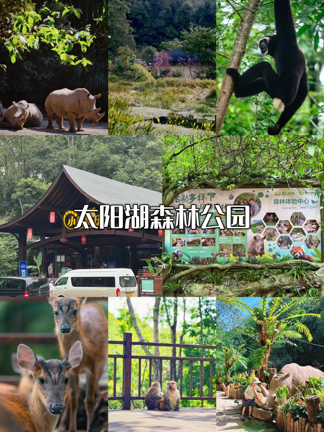🎒普洱暑假9大必冲景点！清凉又出片🌿