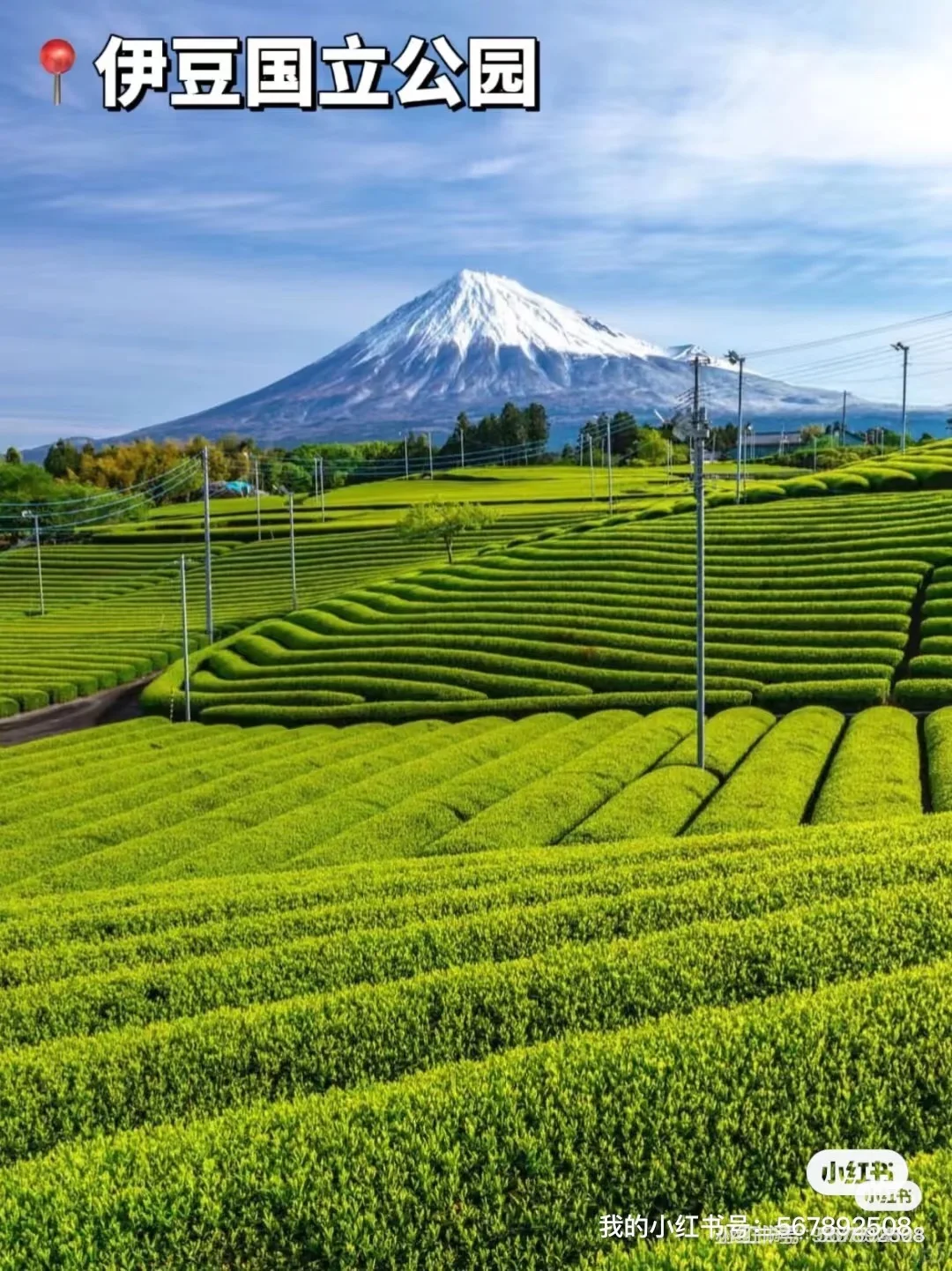 来日本🇯🇵伊豆必玩9大景点