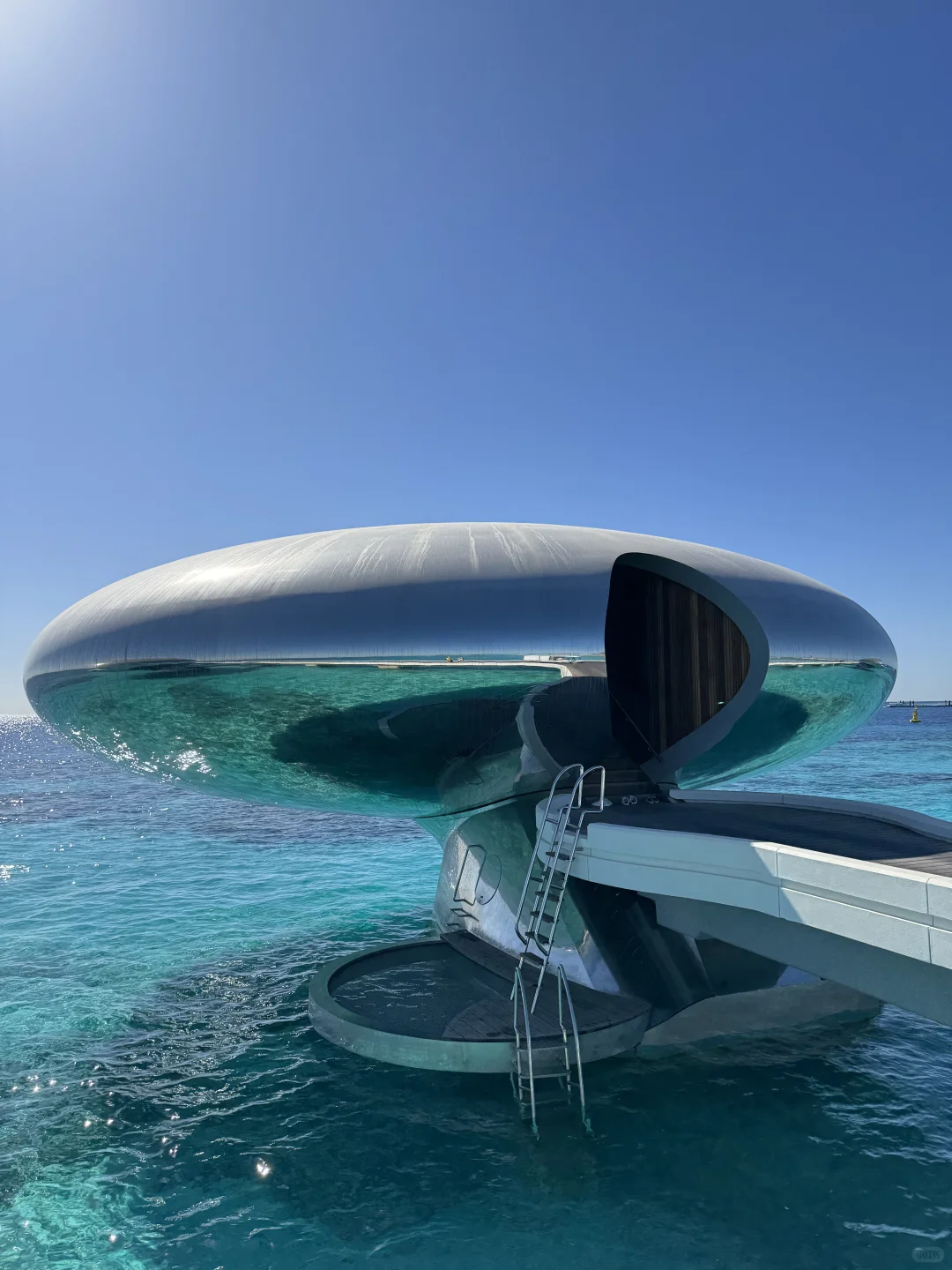 See the future in Shebara🛸
