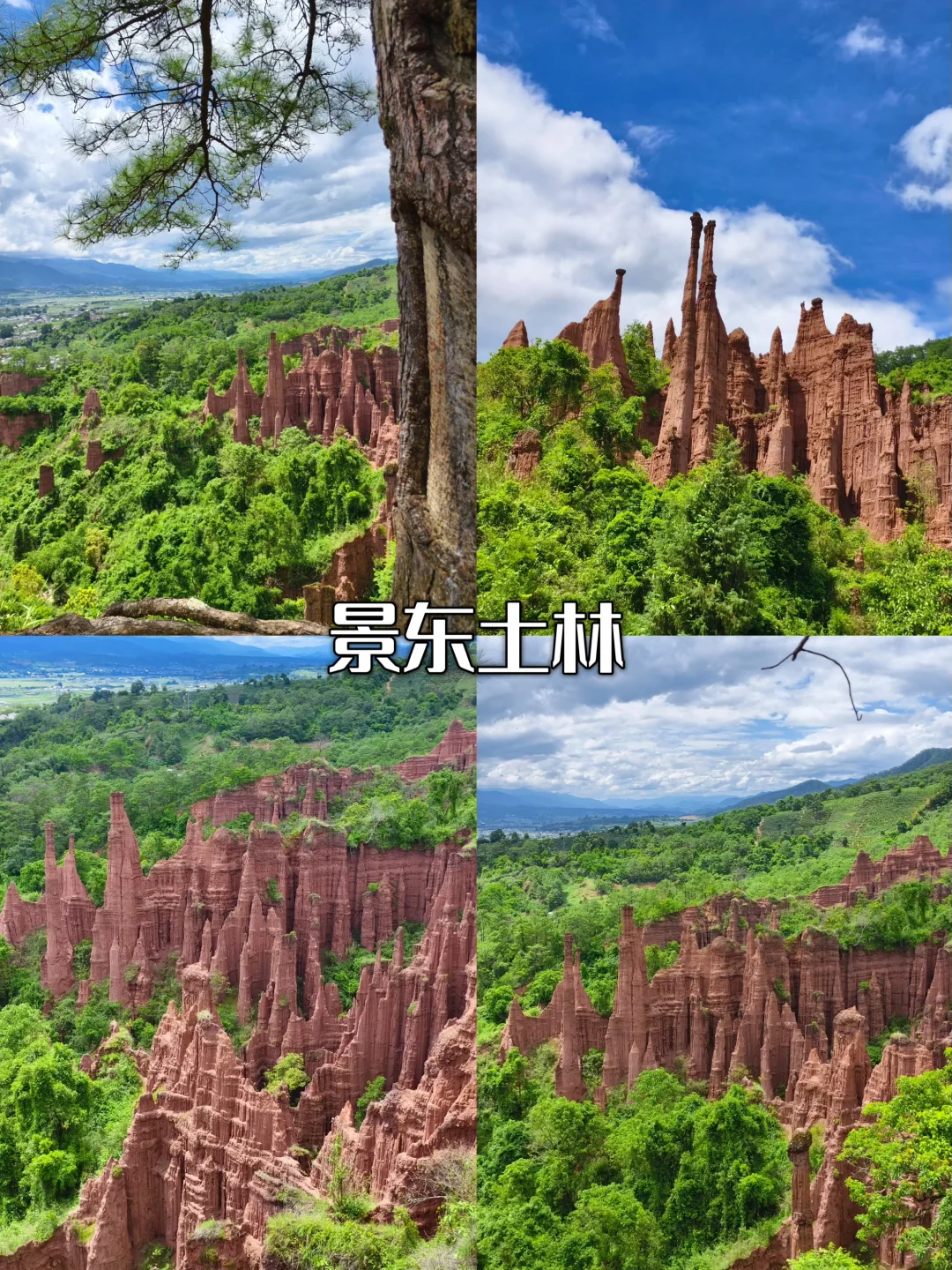 🎒普洱暑假9大必冲景点！清凉又出片🌿