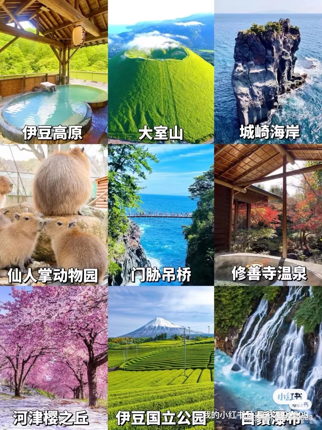 来日本🇯🇵伊豆必玩9大景点