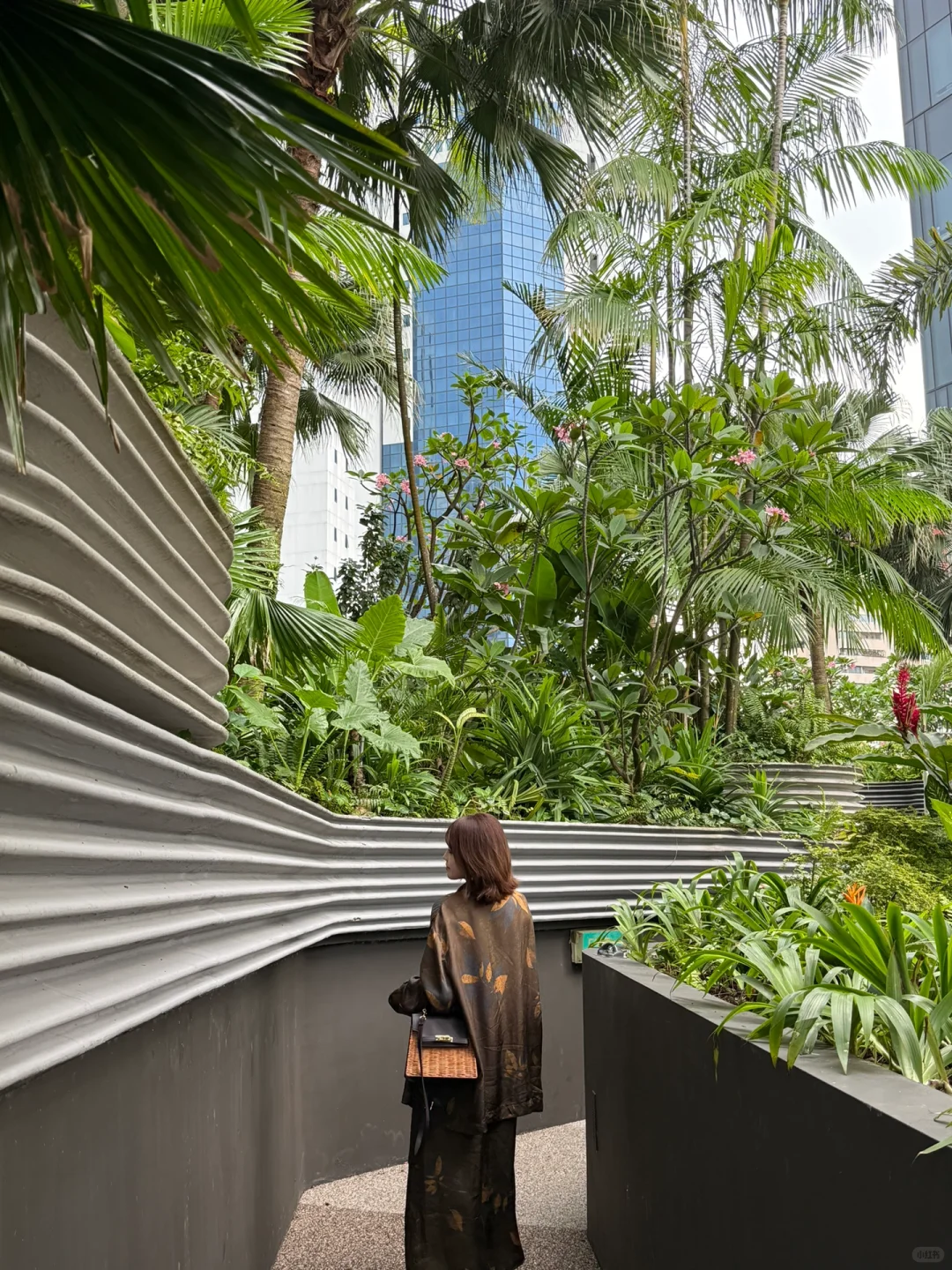 🇸🇬｜新加坡很适合低能量人群