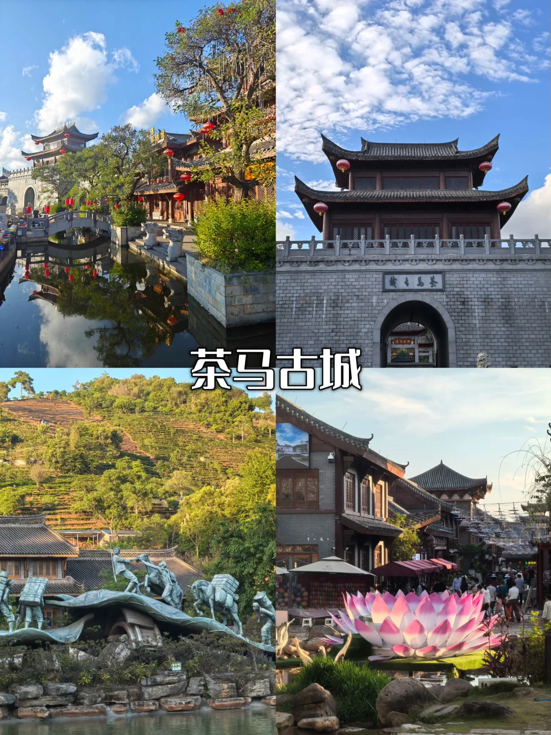🎒普洱暑假9大必冲景点！清凉又出片🌿