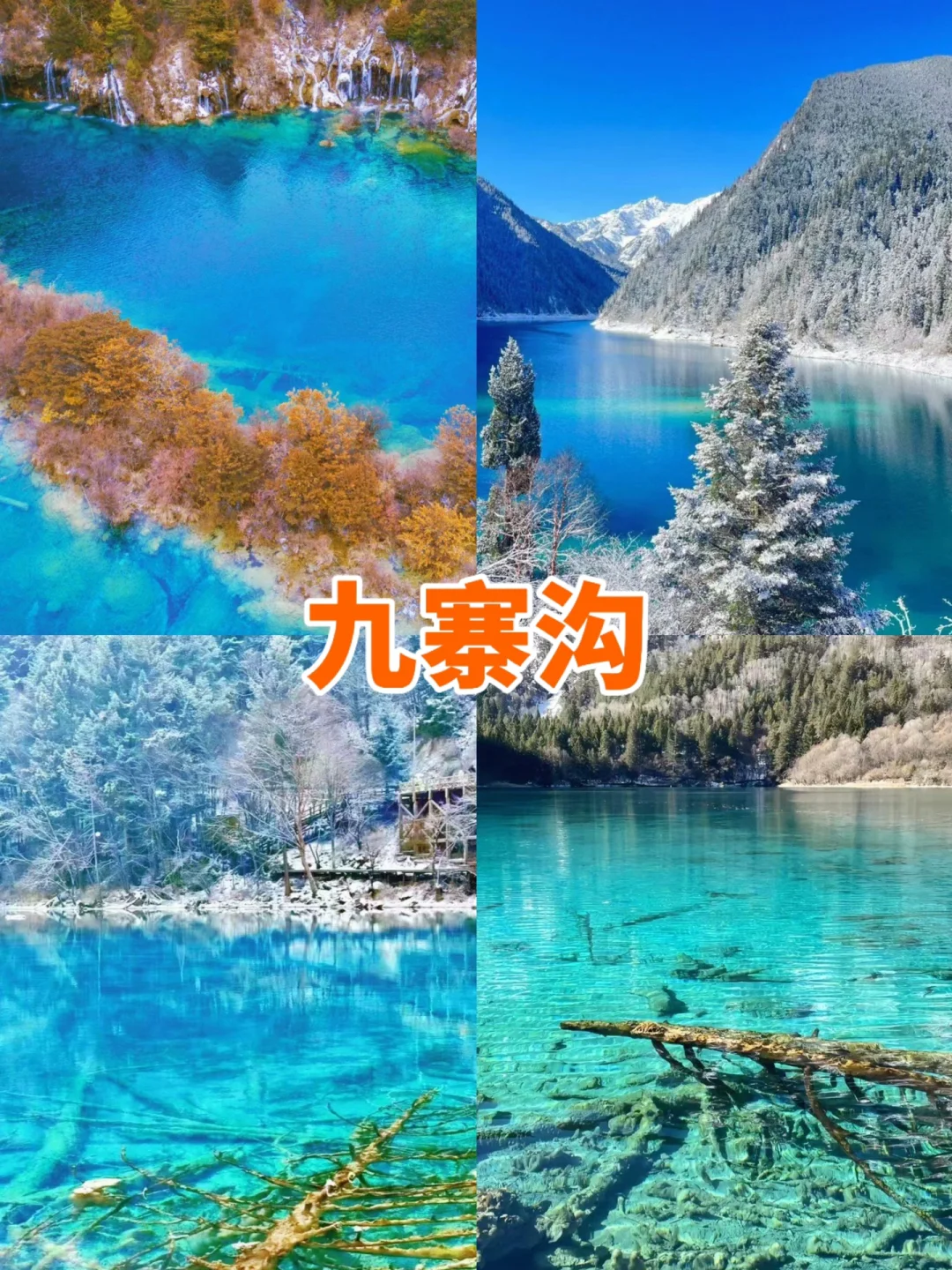 1-12月国内shou选的旅行地🔥附超全地图