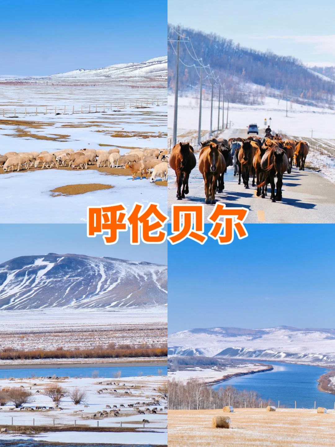 1-12月国内shou选的旅行地🔥附超全地图