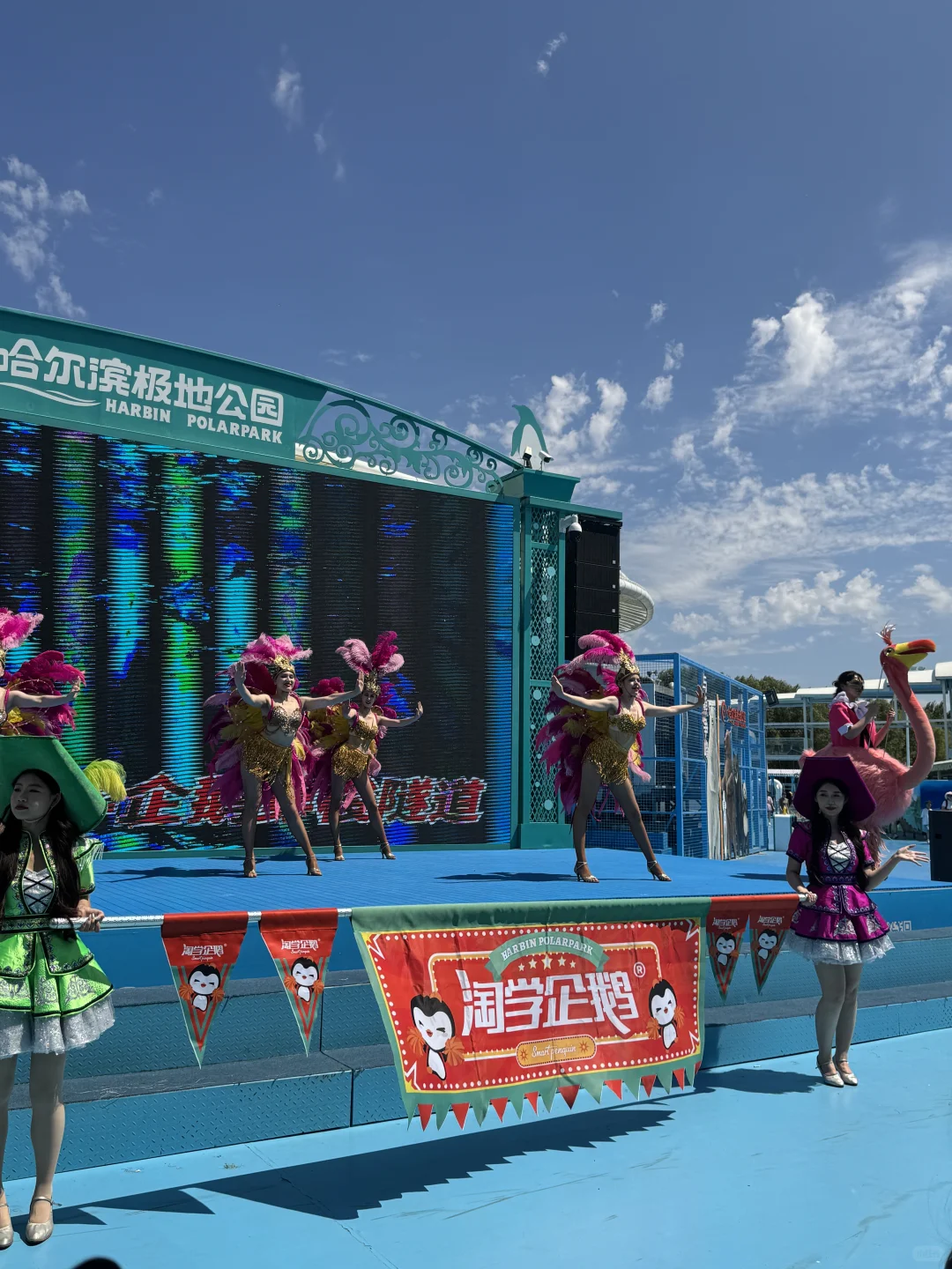 哈尔滨极地公园真的把“好玩”刻进DNA里了！