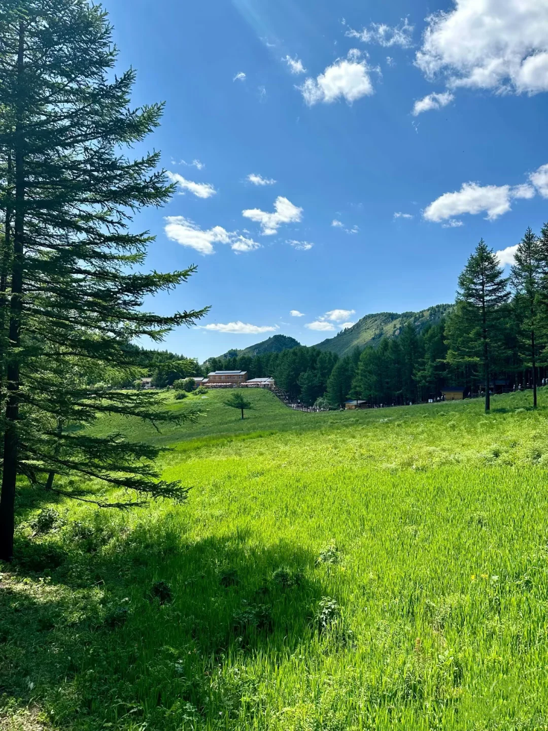 我不允许还有人没看过驼梁的风景！
