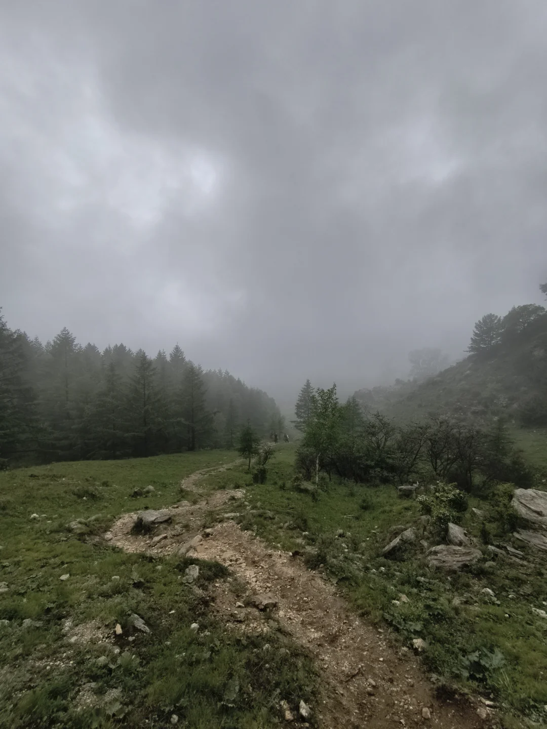 石家庄｜最爱的亚高山草甸（附路线）