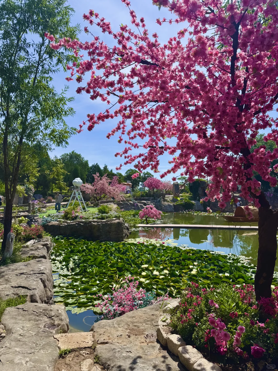 临沂25℃避暑胜地🌳！！走进秘境森林！！超出片！