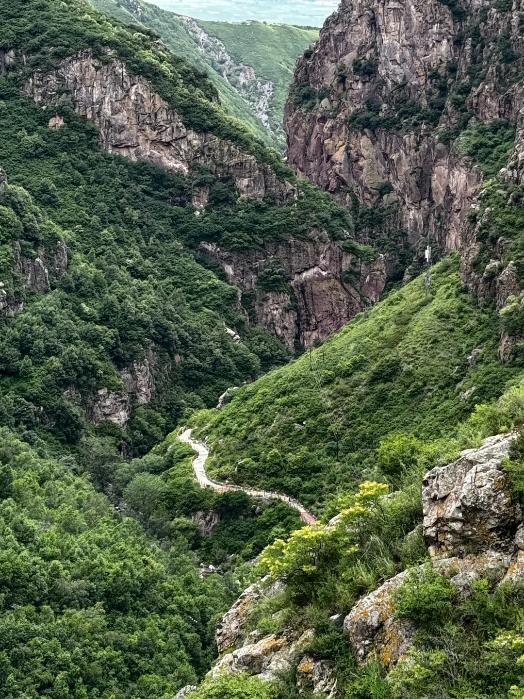 20250705第六次徒步⛰️小五台金河景区