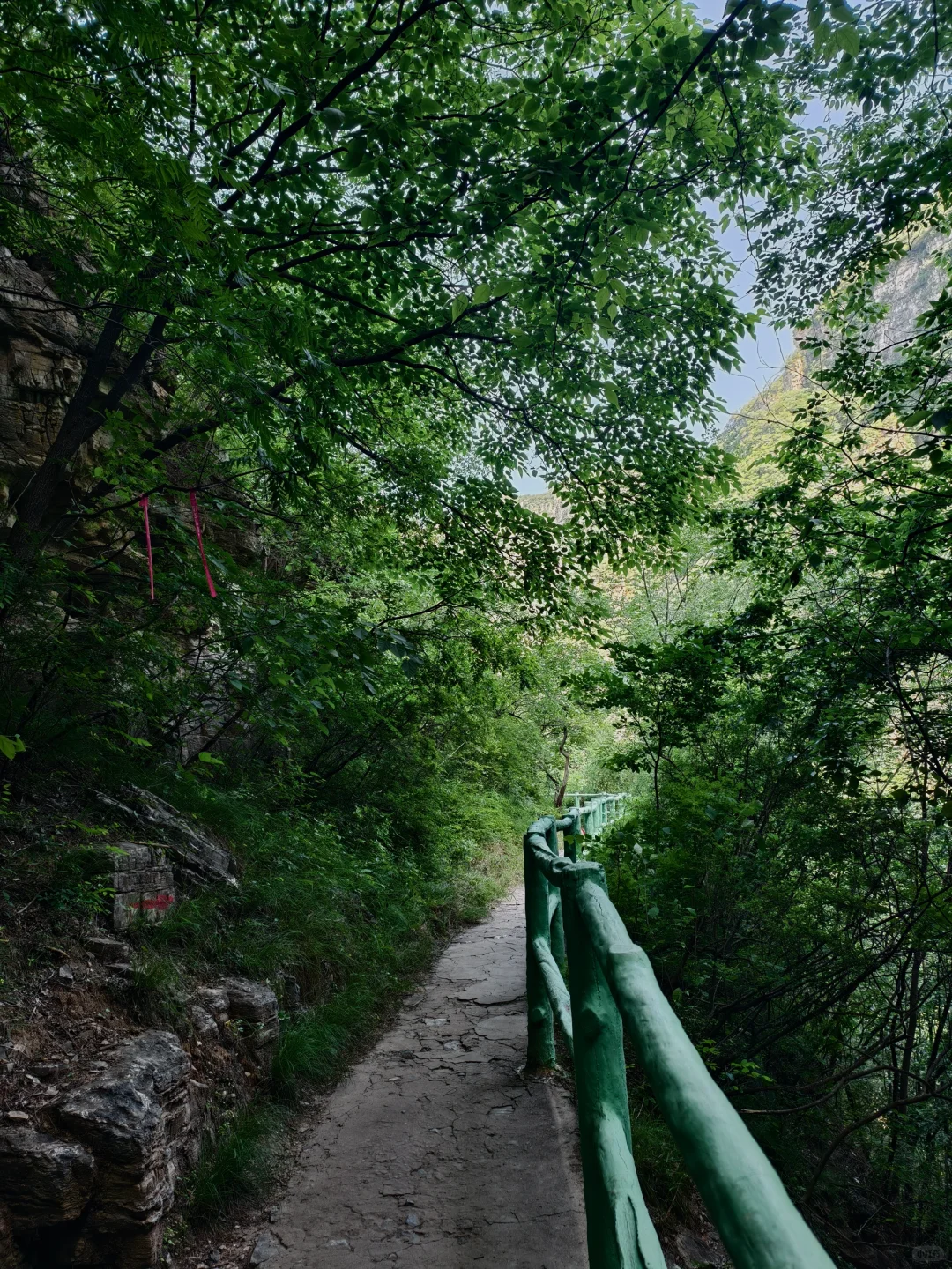 北京钻进25℃峡谷💦瀑布下踩水捞鱼太绝了！