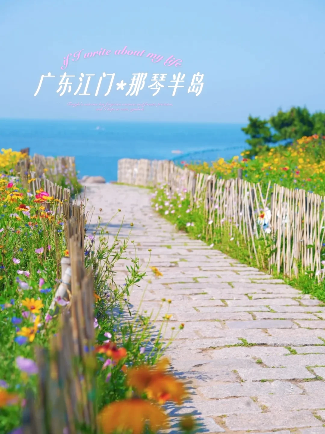 2025夏日必去的3个神仙海边！亲测人少景美