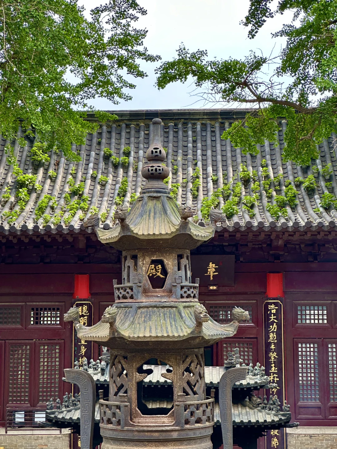 逃离40°C高温，连云港20°C的神仙避暑地 ！
