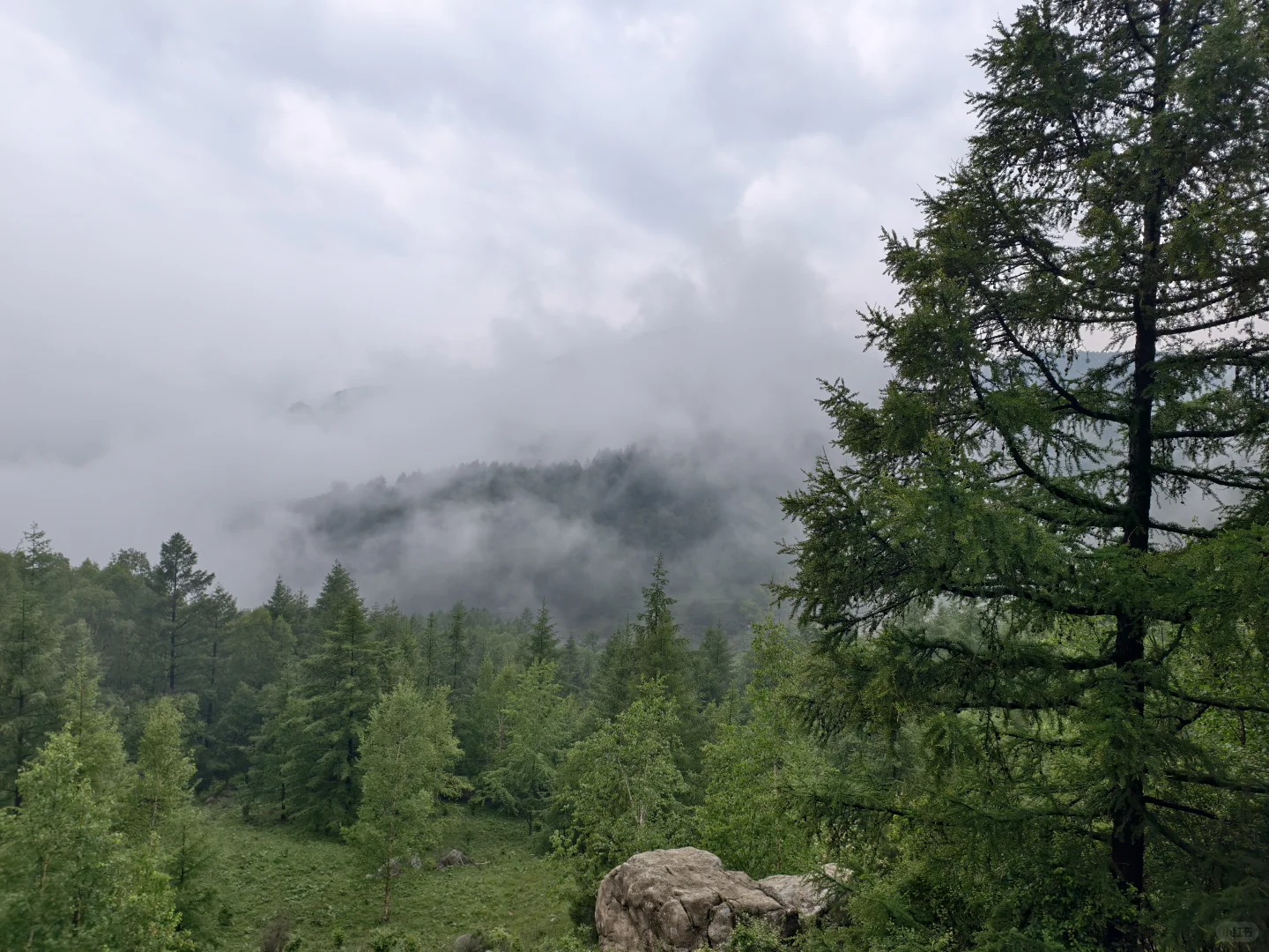 石家庄｜最爱的亚高山草甸（附路线）
