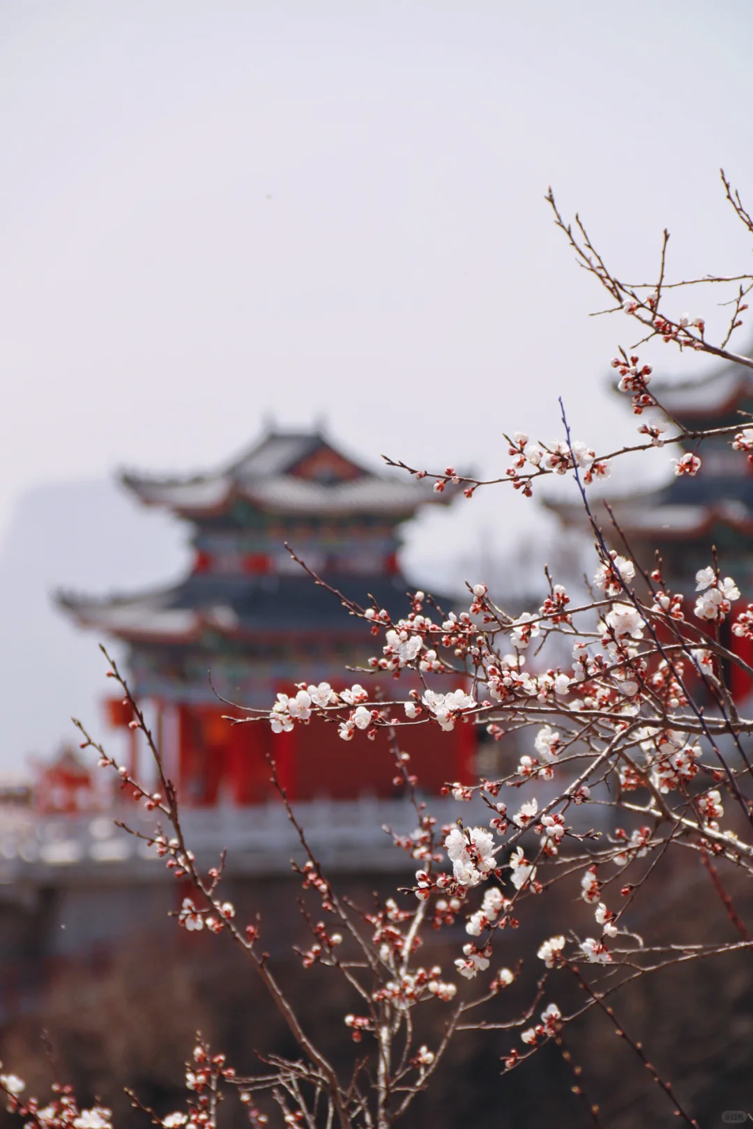 武安古武当山