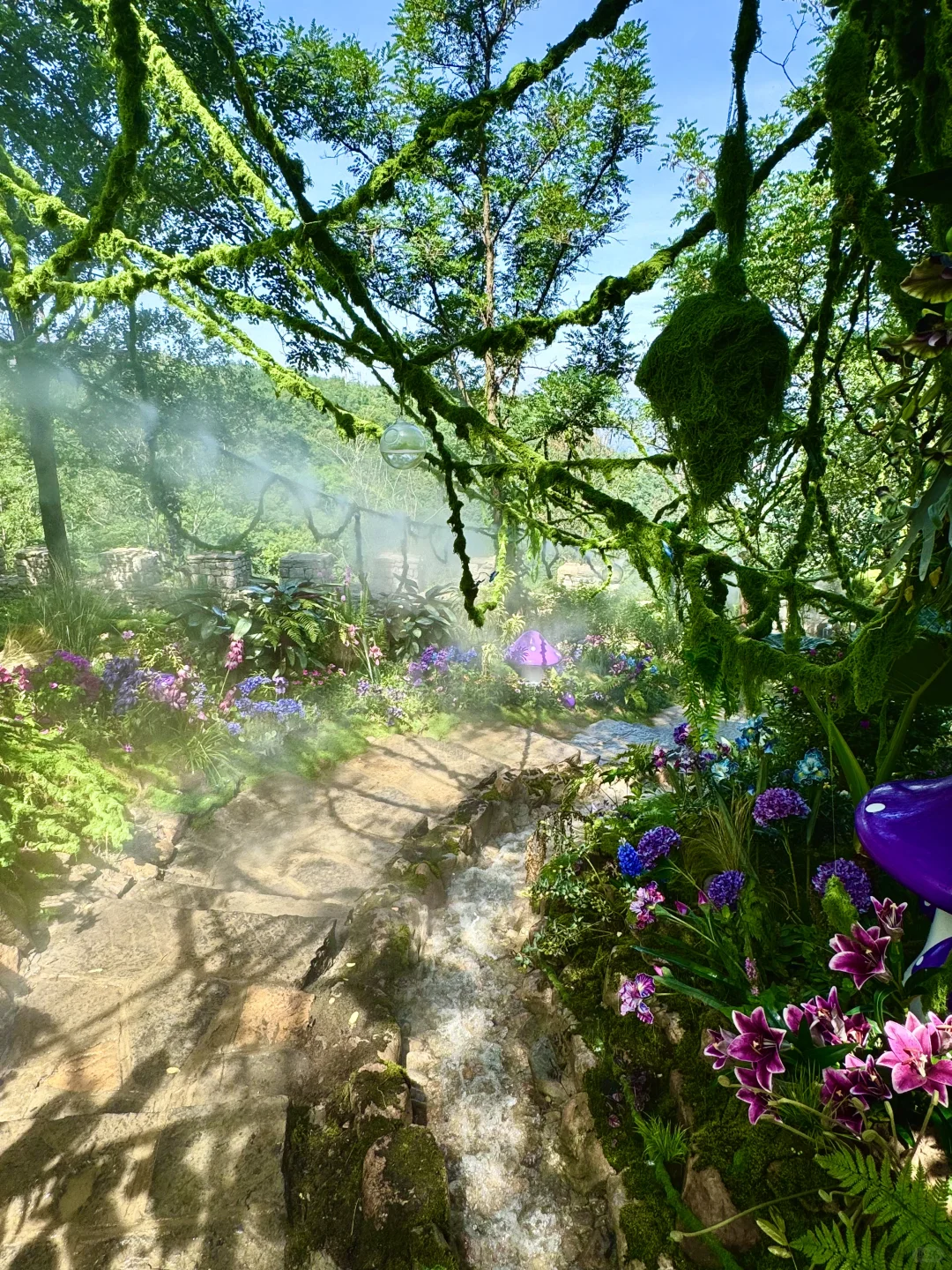 临沂25℃避暑胜地🌳！！走进秘境森林！！超出片！