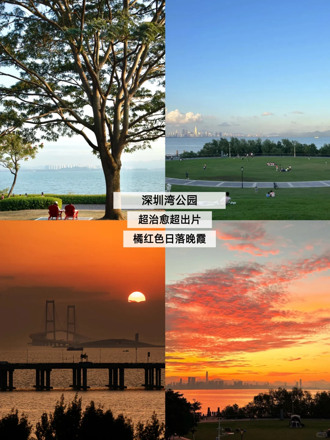 ✨深圳两日游--😎大学生周末特种兵攻略