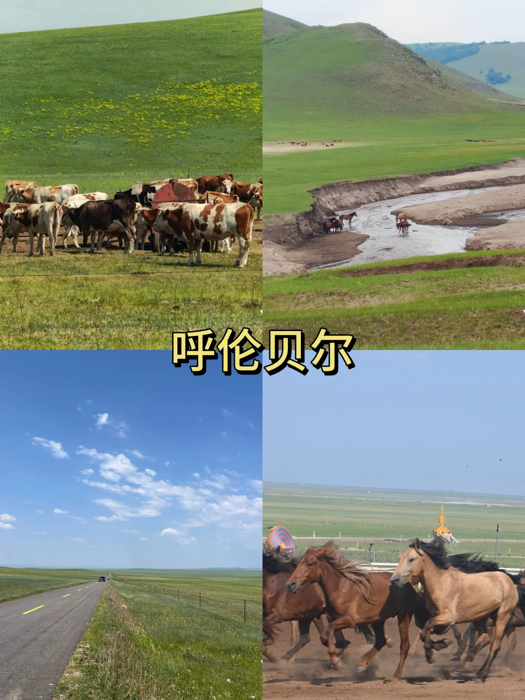 2025暑假遛娃不迷茫！1️⃣2️⃣个城市闭眼冲！