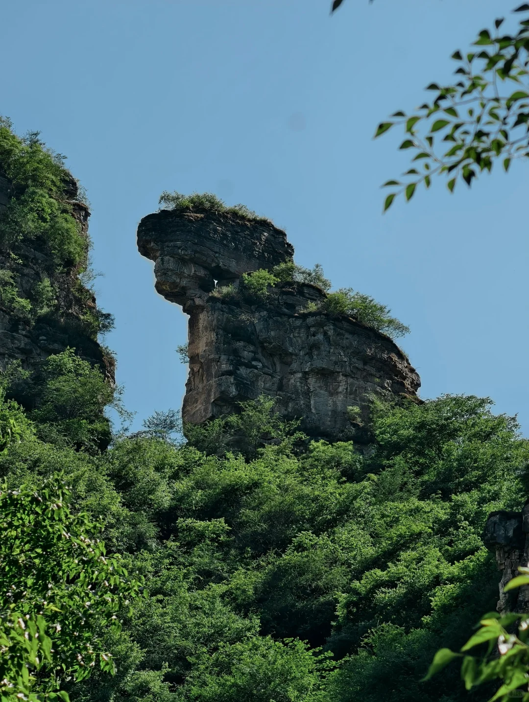 北京钻进25℃峡谷💦瀑布下踩水捞鱼太绝了！