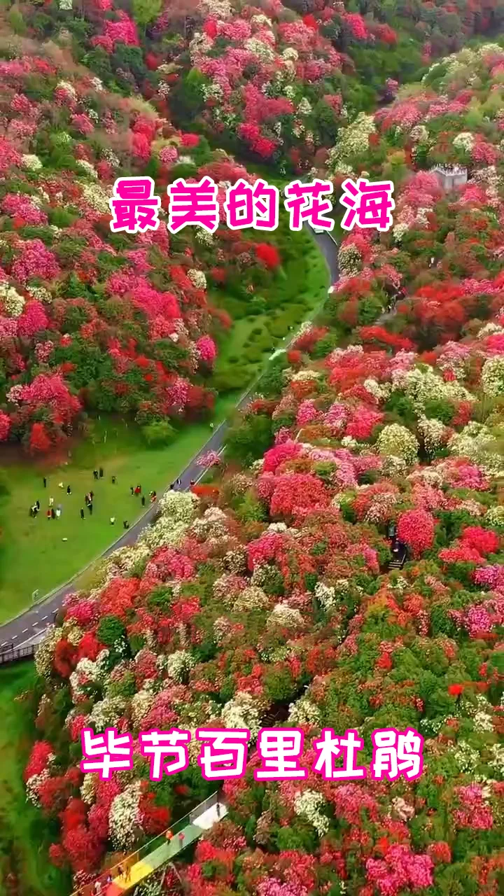 中国最美的18个地方，去过一半，此生无憾