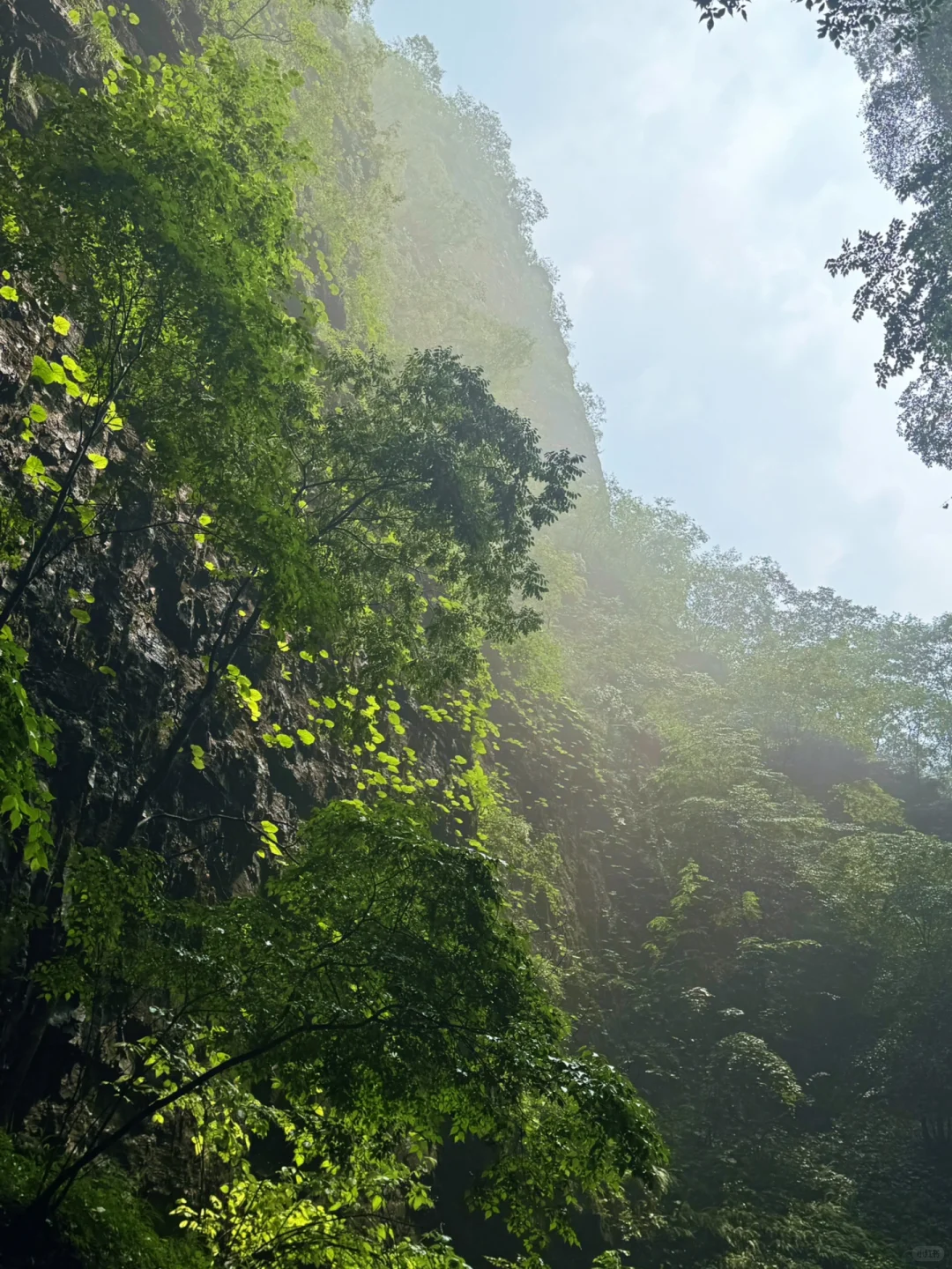 进山见山⛰️野三坡百里峡