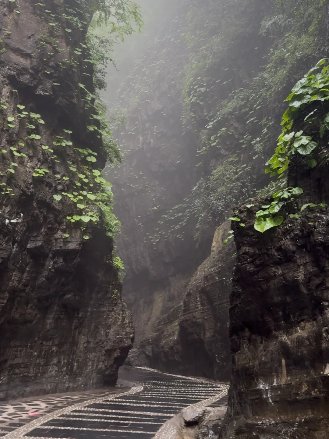 进山见山⛰️野三坡百里峡
