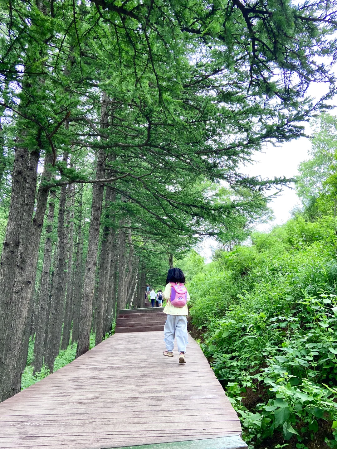 18°C的石家庄，岂止是避暑